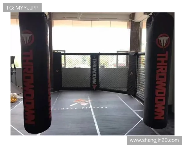 UFC207巅峰对决直播：龙争虎斗引爆八角笼激战夜